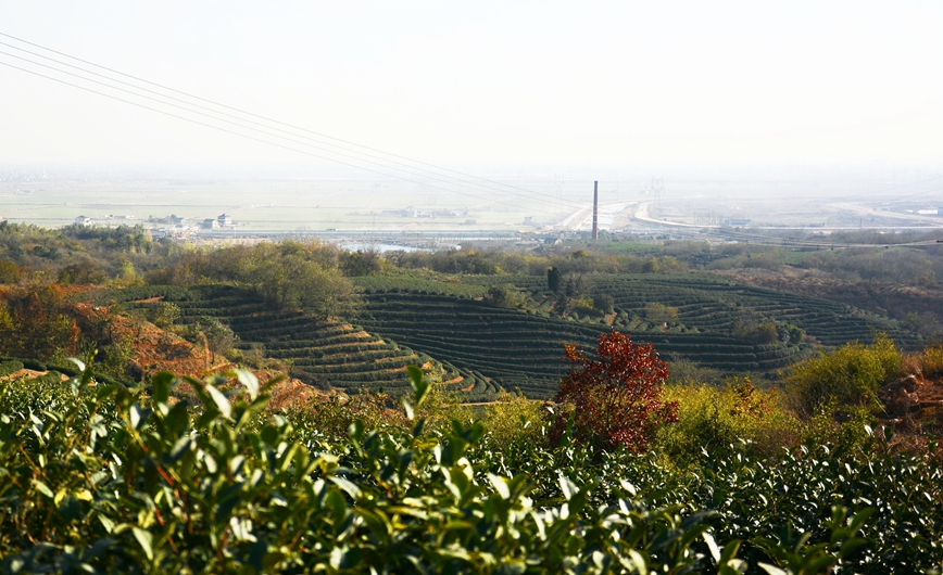 DSC_0030副本.jpg