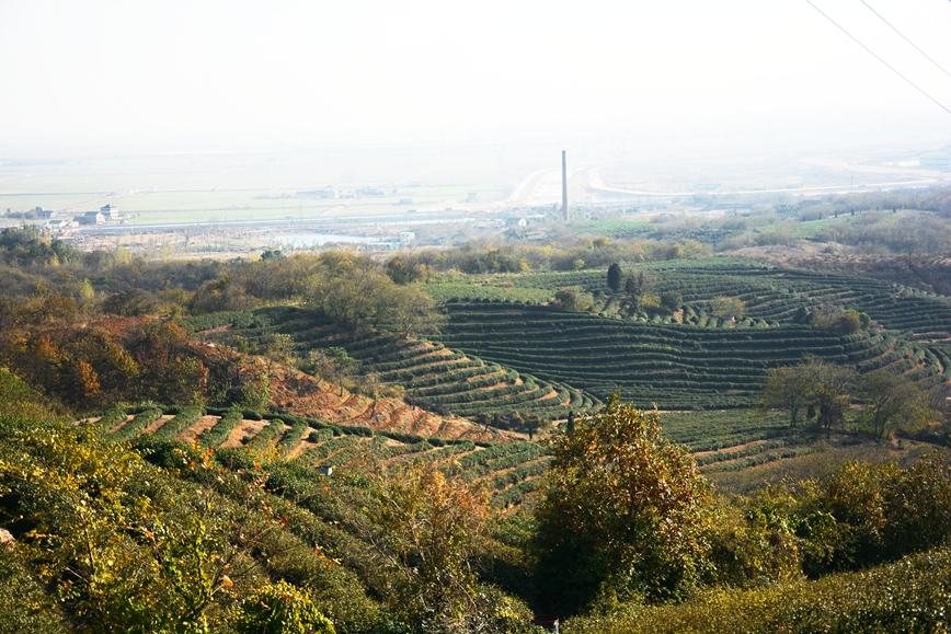 DSC_0032.JPG