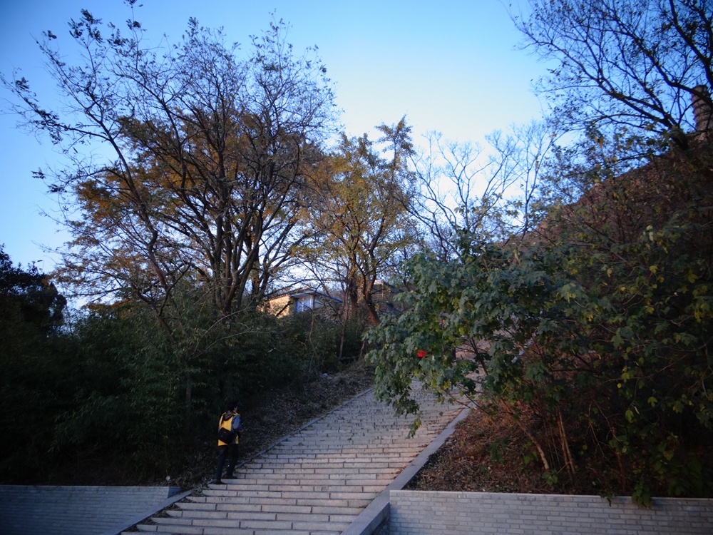 DSC09303_副本.jpg