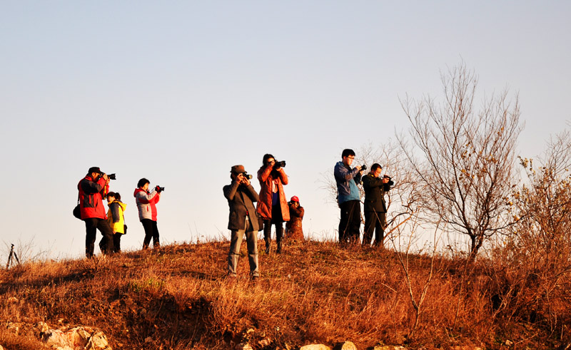 DSC_6562-1-4.jpg