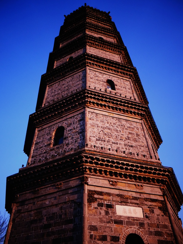 DSC09276_副本.jpg