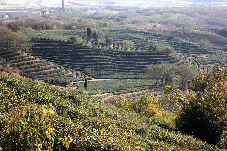 _MG_9060.JPG