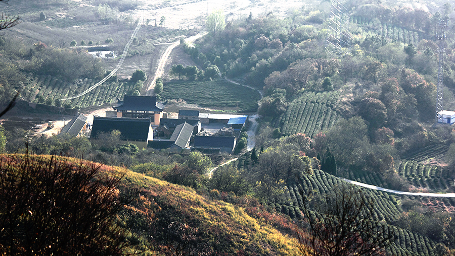 _MG_9104.JPG