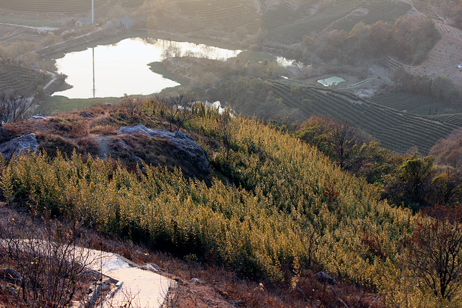 _MG_9258.JPG