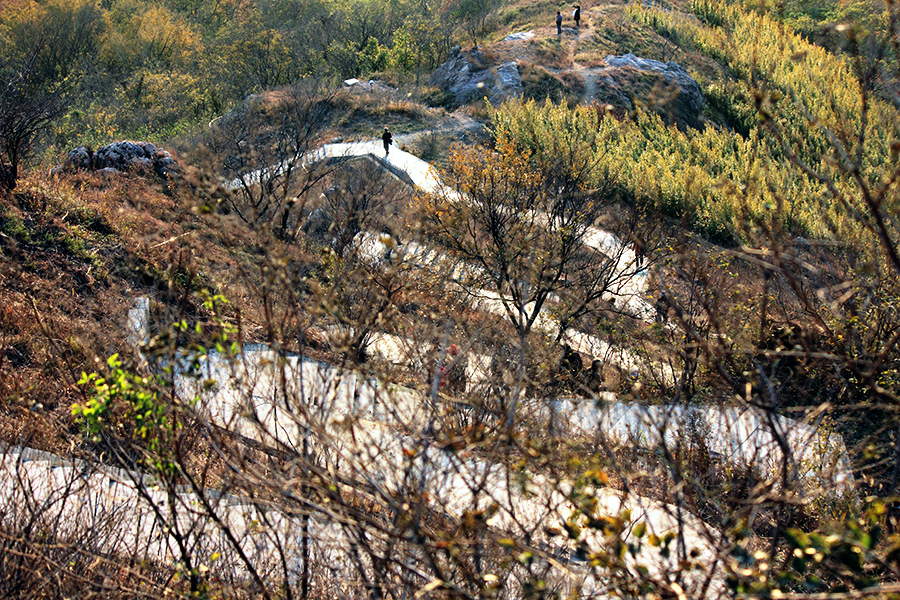 _MG_9205.JPG