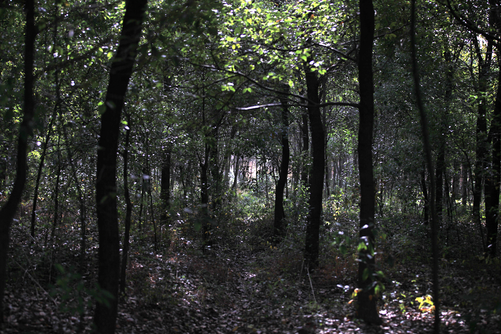 11.25白龙寺 033.jpg