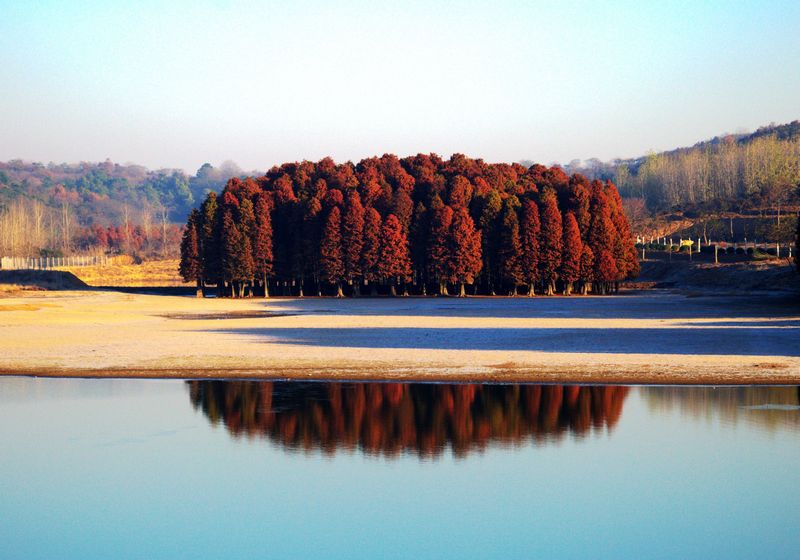 DSC_6416_光影_1.jpg