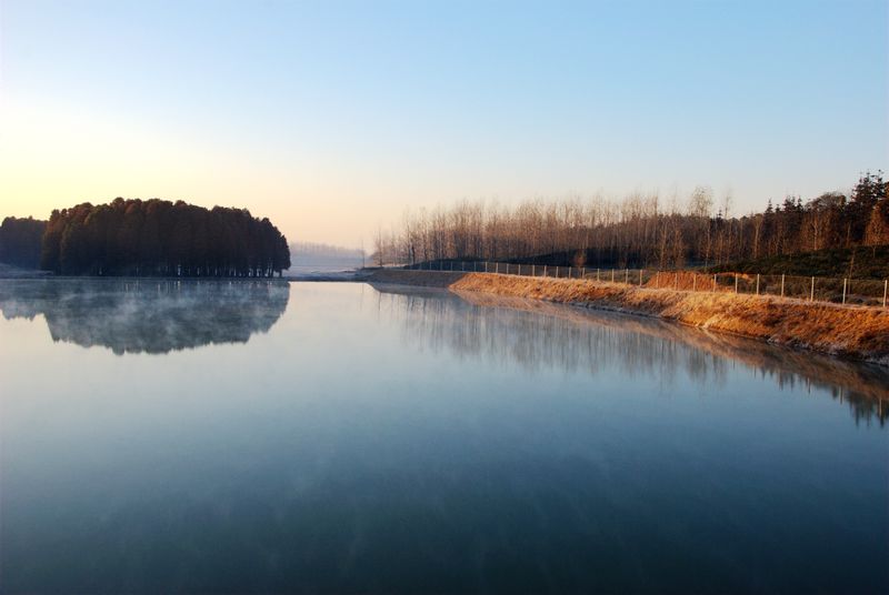 DSC_6381_光影_1.jpg