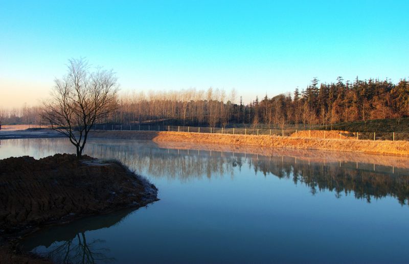DSC_6384_光影_1.jpg