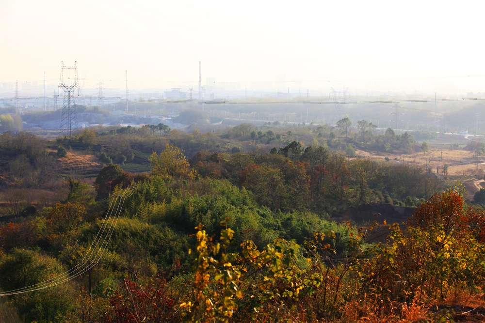 11.29大港 106.jpg
