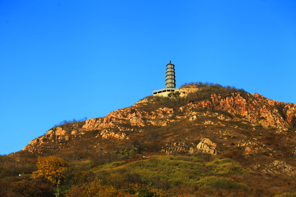 11.29大港 093.jpg
