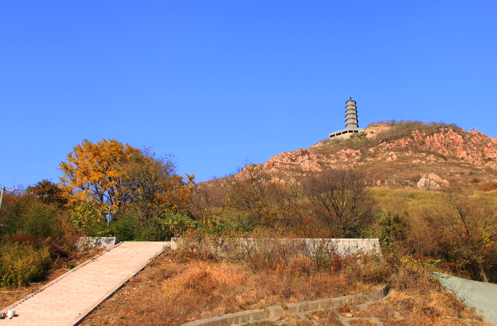11.29大港 049.jpg