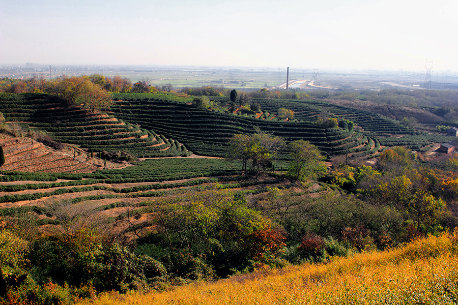 _MG_9042.JPG