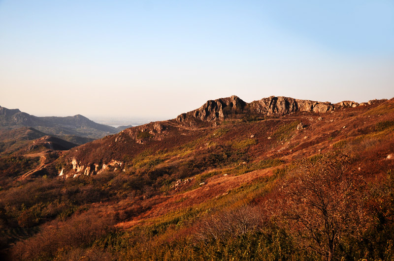 DSC_6463-1-4.jpg