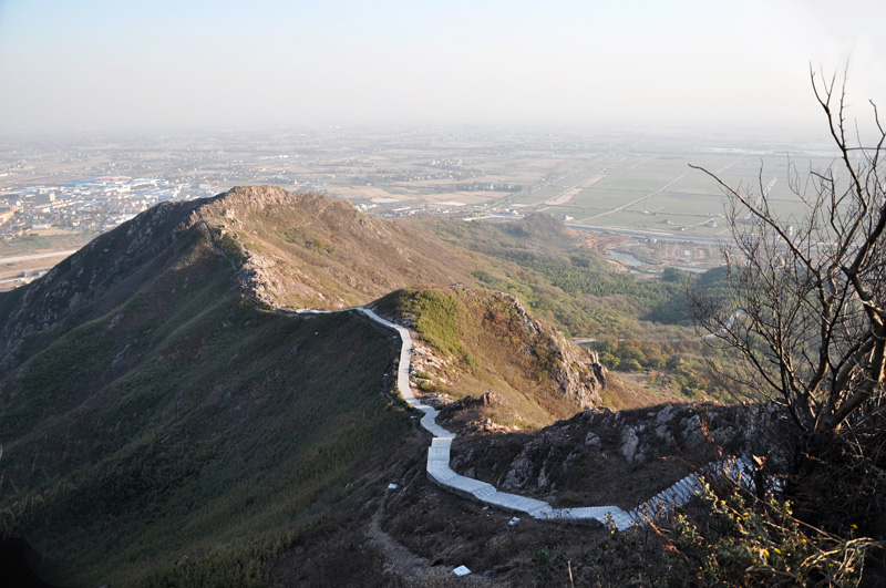 DSC_6538-1-4.jpg
