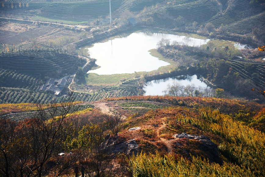 DSC_0072.JPG