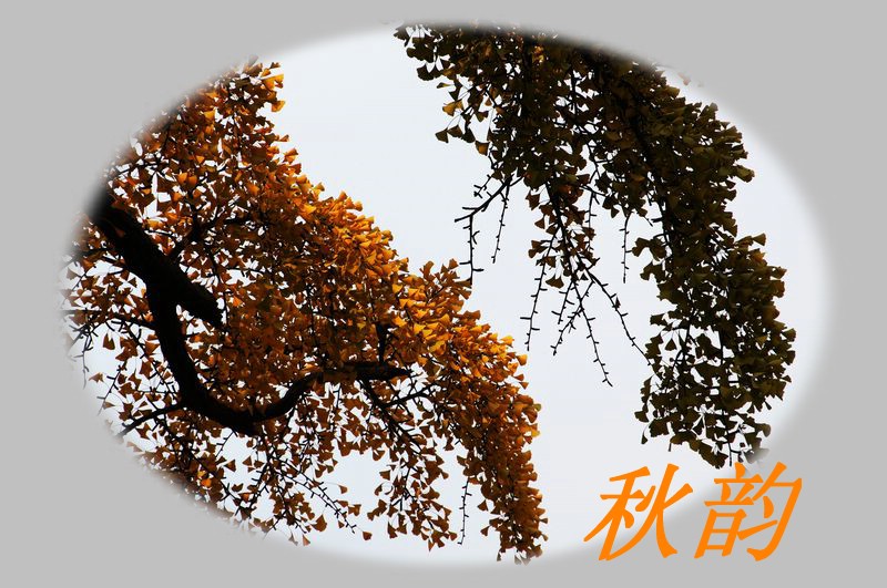 DSC06645_副本.JPG