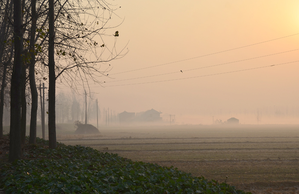 DSC_3018.jpg
