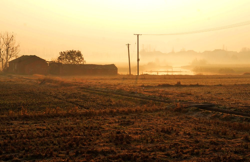 DSC_3030.jpg