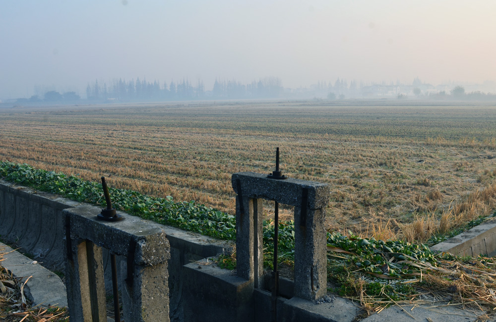DSC_3031.jpg