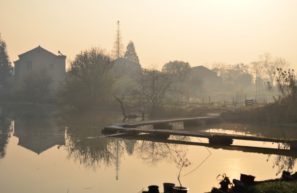 DSC_3036.jpg