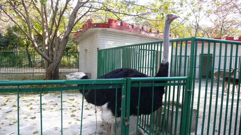 P1250033_看图王.jpg