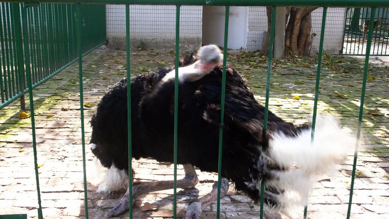 P1250004_看图王.jpg