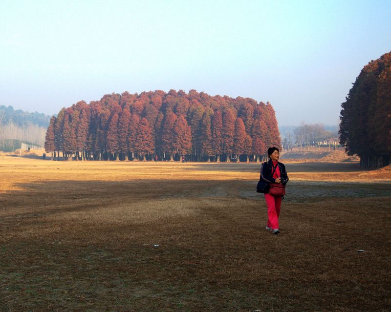 DSC_6428_光影_1.jpg