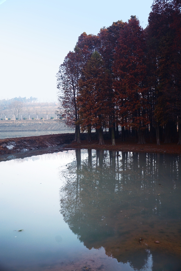 DSC_0260.JPG