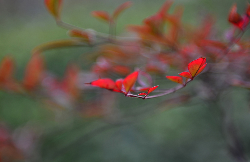 DSC_3047.jpg