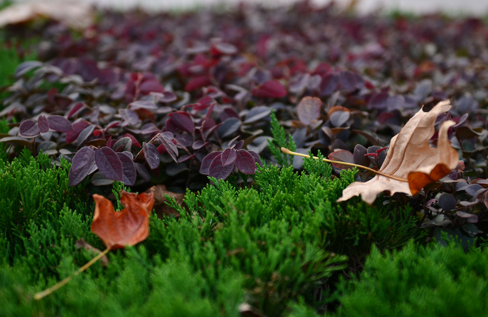 DSC_3053.jpg