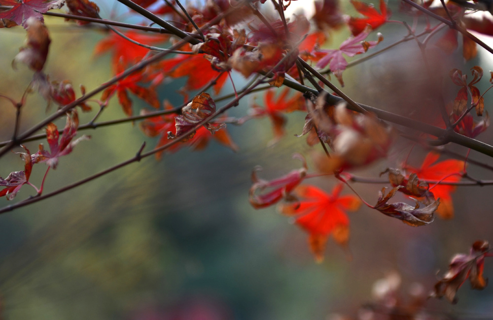 DSC_3055.jpg