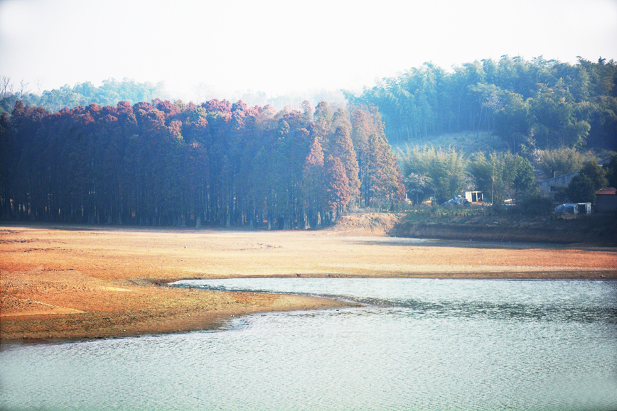 DSC_0303.JPG