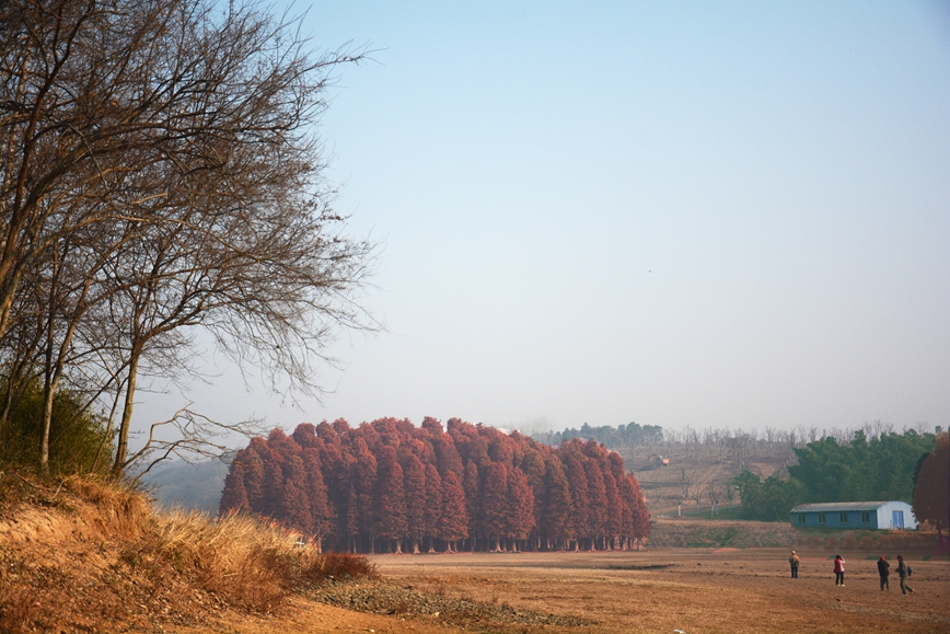 DSC_0293.JPG