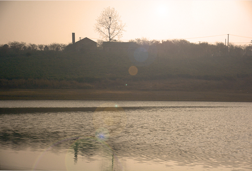 DSC_0295.JPG