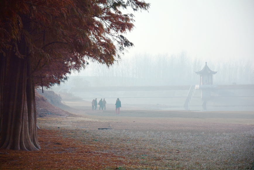 DSC_0276.JPG
