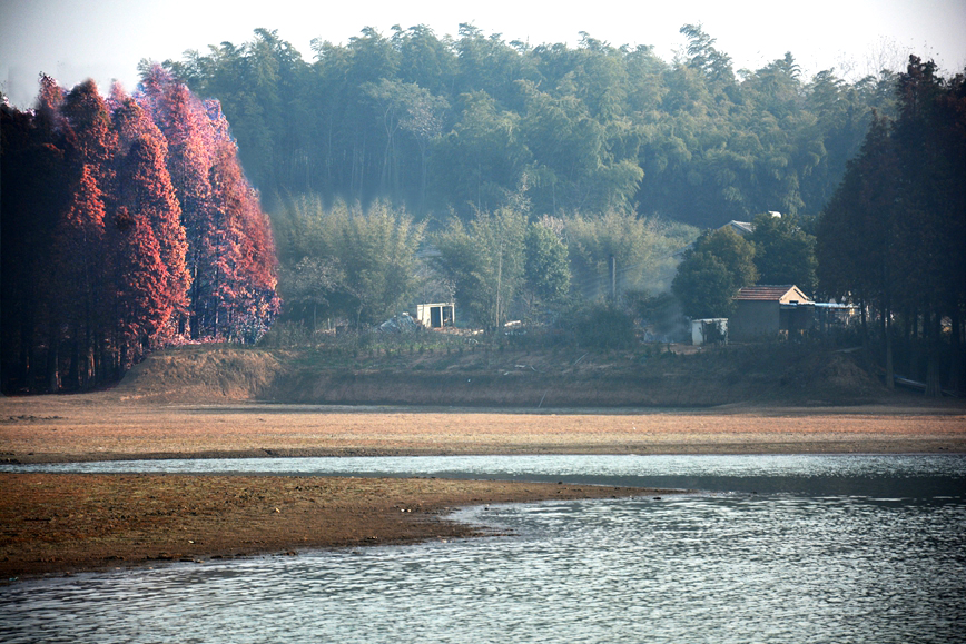 DSC_0299.JPG