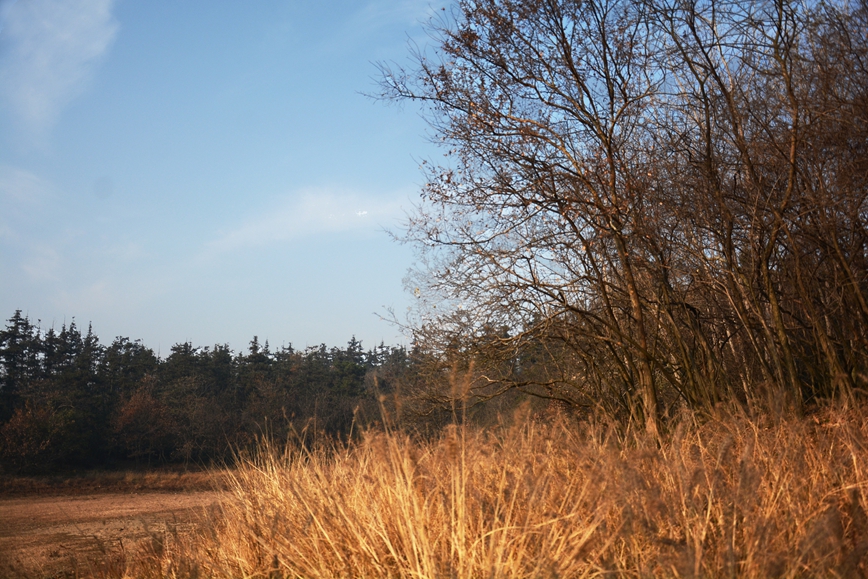 DSC_0292.JPG