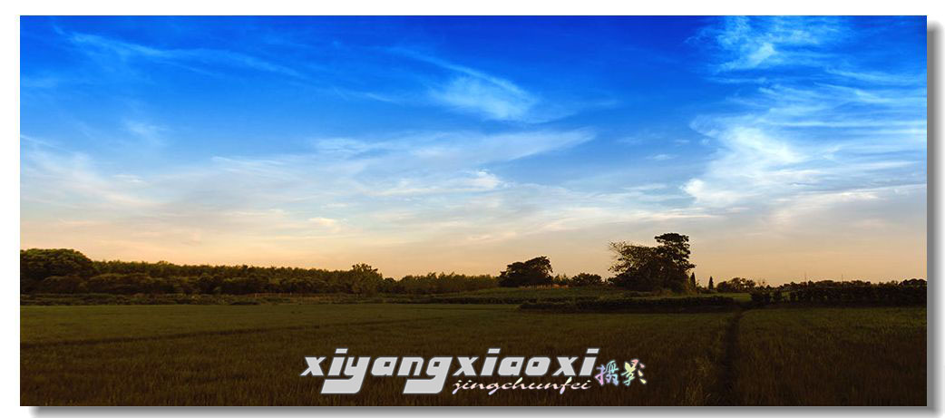 未标题_全景图1.jpg