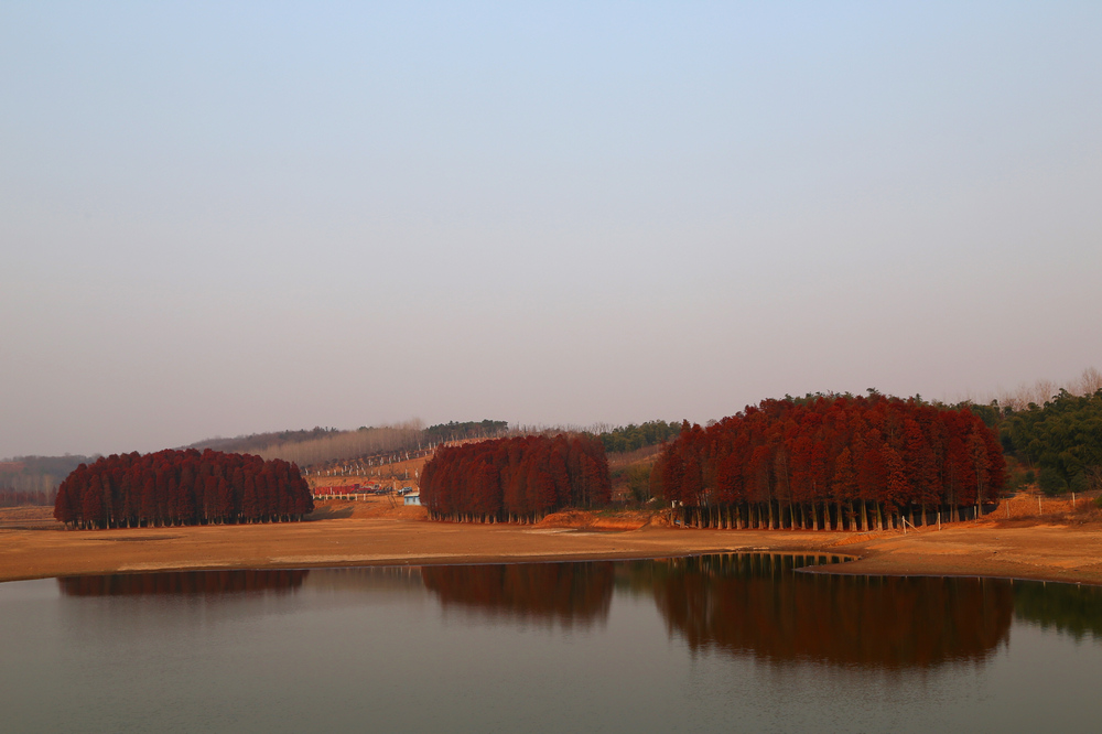 nEO_IMG_IMG_1931-1.jpg