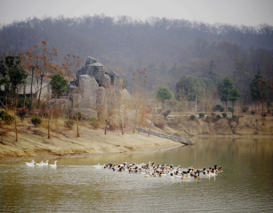 DSC00897_副本.jpg