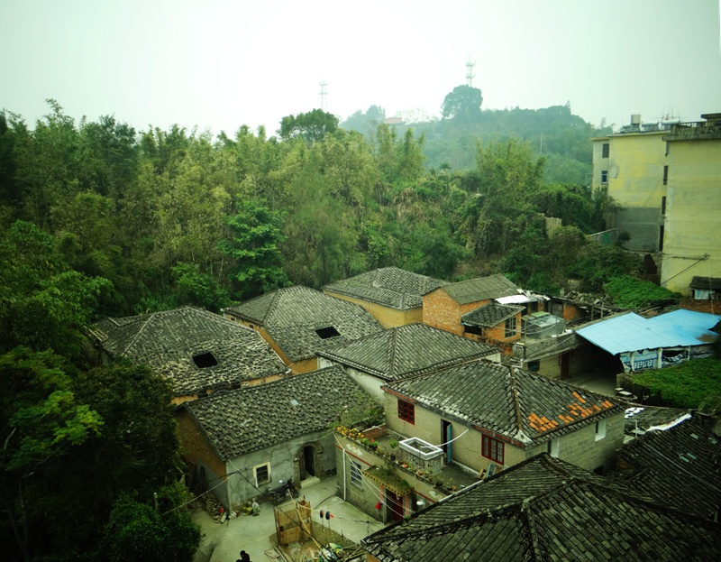 DSC09661_副本.jpg