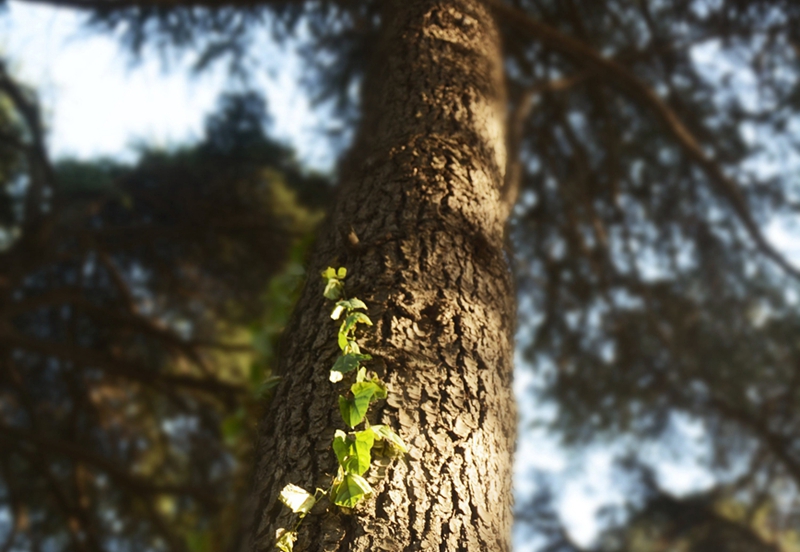 DSC_4516副本.jpg