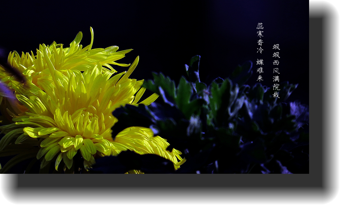 IMG_0018_副本1_副本_副本.jpg