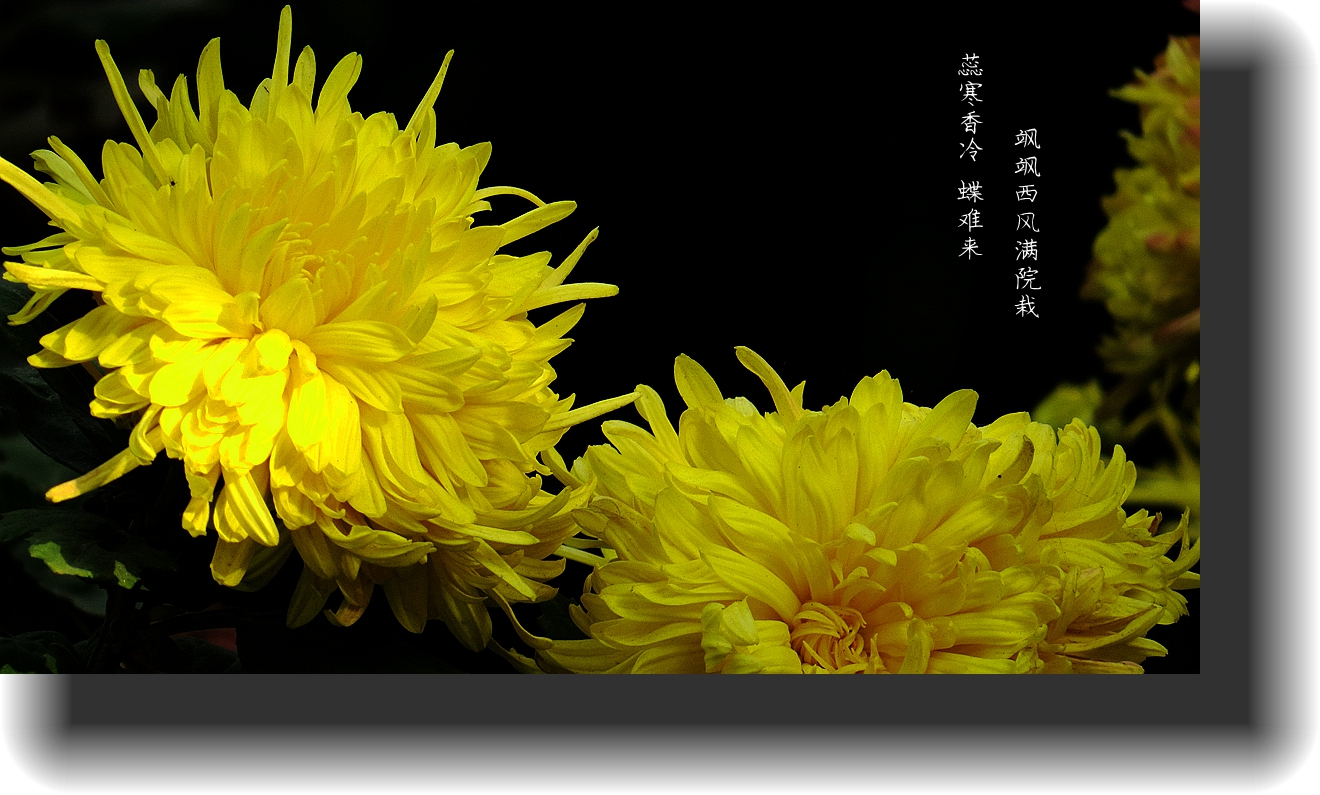 IMG_0021_副本_副本_副本.jpg