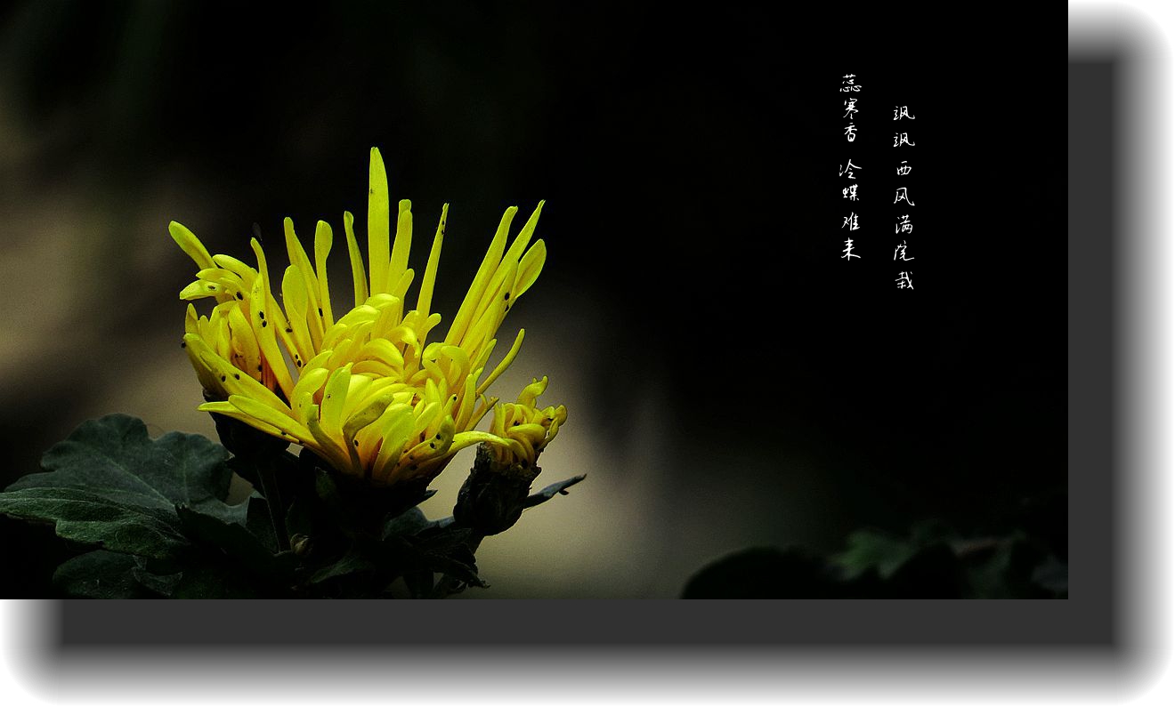 IMG_0024_副本_副本2.jpg