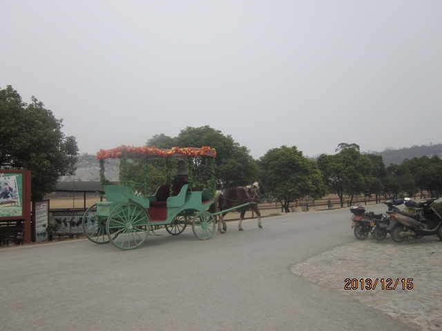 182.JPG