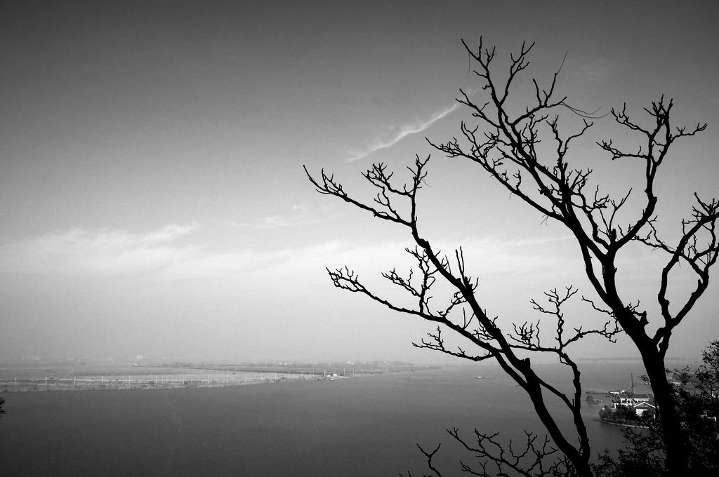 DSC_0250_副本_副本.JPG