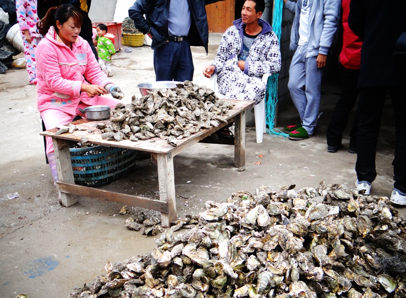 DSC00001_副本.jpg