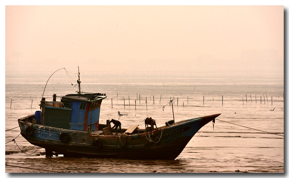DSC_6696-3.jpg